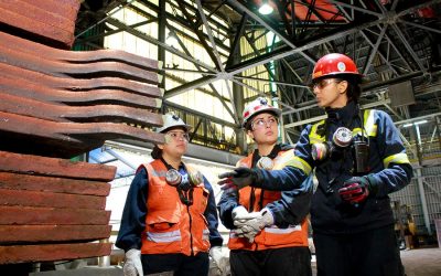 #8M: Participación Femenina en la Industria Minera según Datos de Alianza CCM-Eleva