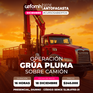 OPERACIÓN GRÚA PLUMA SOBRE CAMIÓN - 18 DICIEMBRE