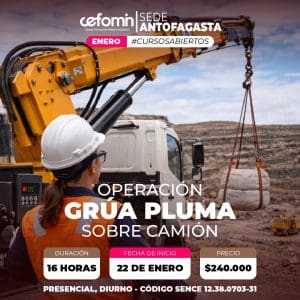 OPERACIÓN GRÚA PLUMA SOBRE CAMIÓN - 22 ENERO