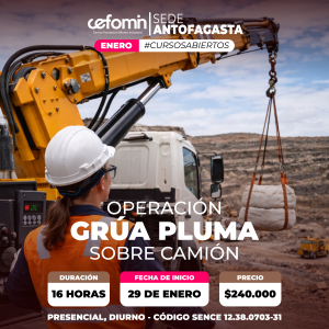 OPERACIÓN GRÚA PLUMA SOBRE CAMIÓN - 29 ENERO
