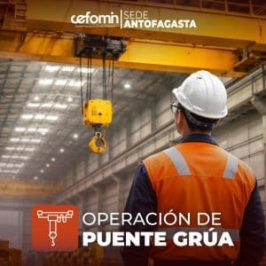 Curso: Operación Puente Grúa | 14 de Julio