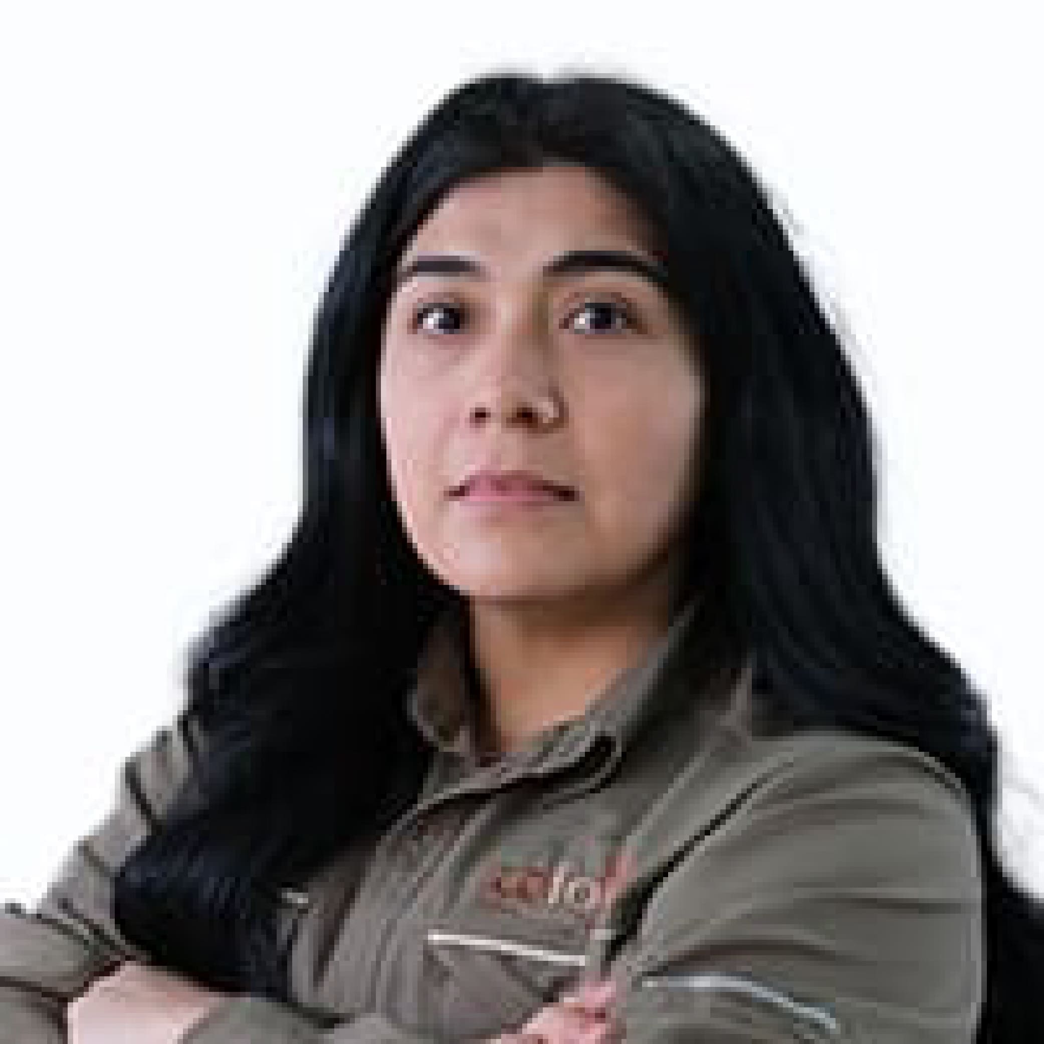 Gabriela Castro P.